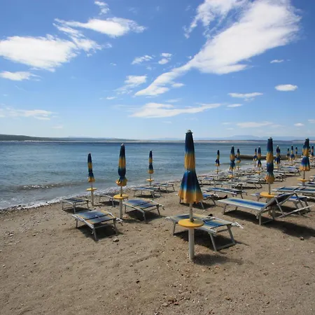 Zita * 크리크베니카