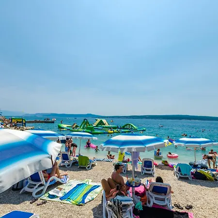 Zita קריקווניצה